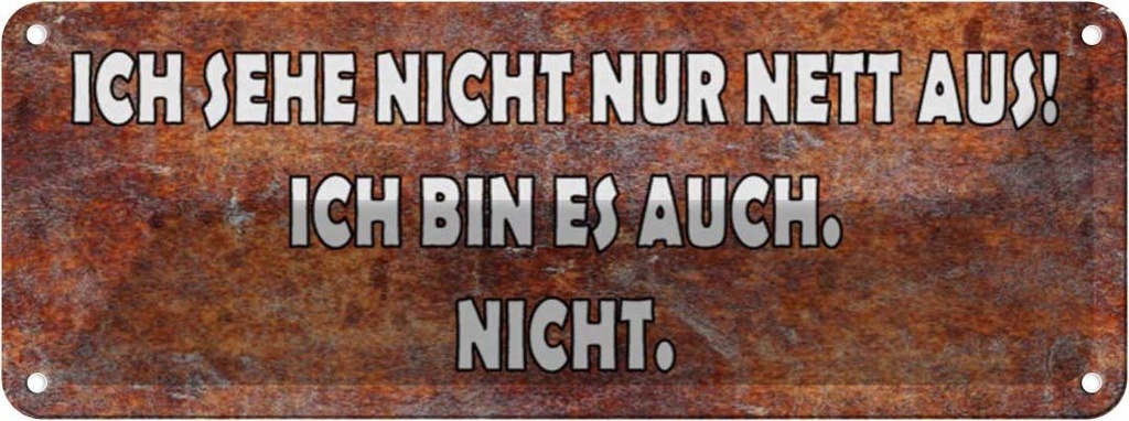 Blechschild 10x27 cm sehe nicht nur nett aus ich bin Spruch Zitat