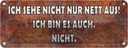 Blechschild 10x27 cm sehe nicht nur nett aus ich bin Spruch Zitat