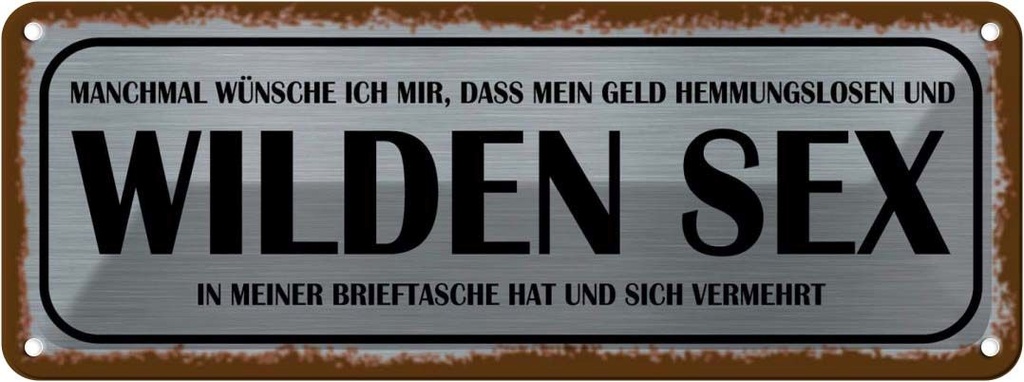 Blechschild 10x27 cm wünsche ich mir Geld wilden Sex Spruch Zitat