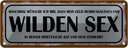Blechschild 10x27 cm wünsche ich mir Geld wilden Sex Spruch Zitat
