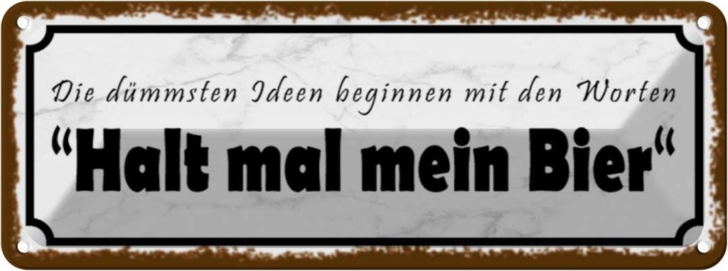 Blechschild 10x27 cm dümmste Ideen halt mein Bier Essen Trinken