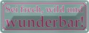 Blechschild 10x27 cm sei frech wild und wunderbar Dekoration Spruch Zitat