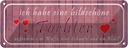 Blechschild 10x27 cm ich habe eine bildschöne Tochter Spruch Zitat