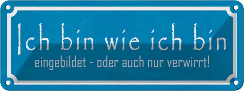 Blechschild 10x27 cm ich bin wie eingebildet Spruch Zitat