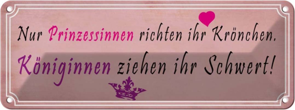 Blechschild 10x27 cm Prinzessinnen richten Krönchen Spruch Zitat