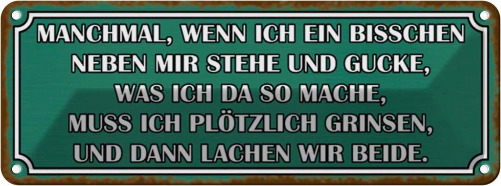 Blechschild 10x27 cm wenn ich neben mir stehe und Dekoration Spruch Zitat