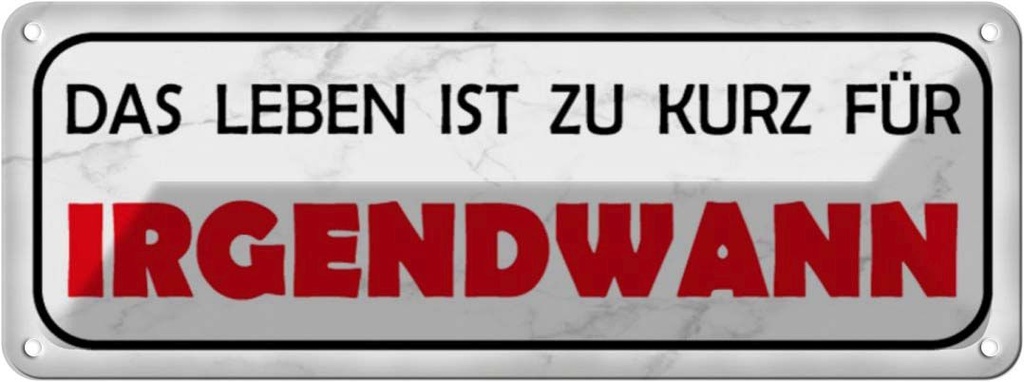 Blechschild 10x27 cm Leben ist zu kurz für irgendwann Spruch Zitat