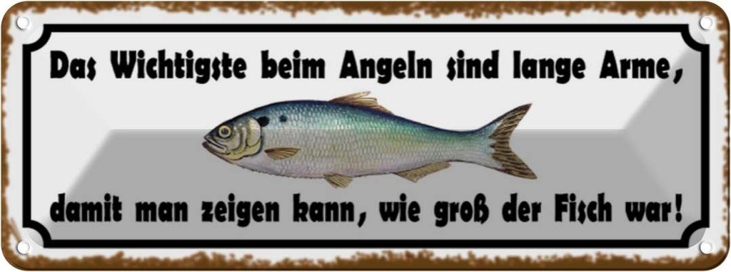 Blechschild 10x27 cm das wichtigste beim Angeln sind Spruch Zitat