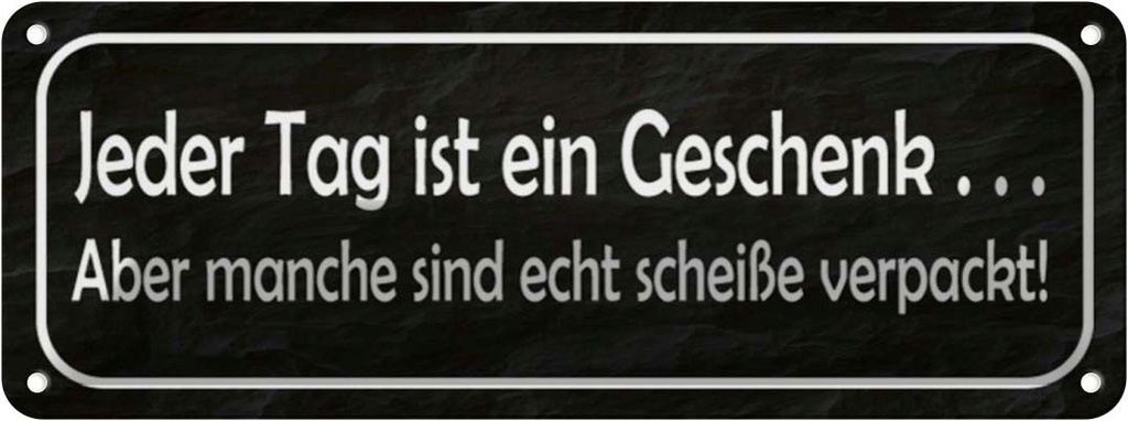 Blechschild 10x27 cm jeder Tag ist ein Geschenk aber Spruch Zitat
