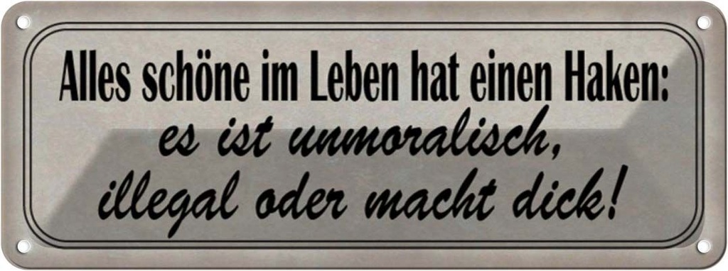 Blechschild 10x27 cm alles schöne hat einen Haken Dekoration Spruch Zitat