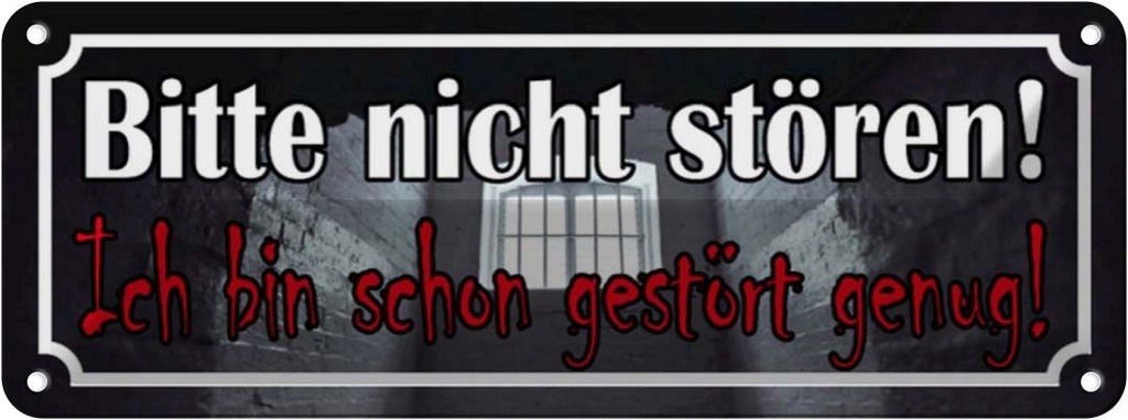 Blechschild 10x27 cm nicht stören bin schon gestört Warnschild Hinweisschild Sicherheit Vorsicht