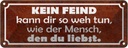 Blechschild 10x27 cm kein Feind kann dir so weh tun Dekoration Spruch Zitat