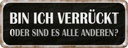 Blechschild 10x27 cm bin ich verrückt oder andere Dekoration Spruch Zitat