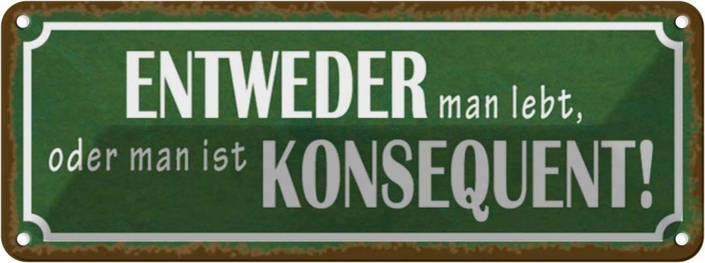 Blechschild 10x27 cm entweder man lebt oder Dekoration Spruch Zitat
