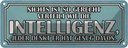 Blechschild 10x27 cm Intelligenz gerecht verteilt Dekoration Spruch Zitat
