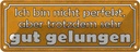 Blechschild 10x27 cm bin nicht perfekt gut gelungen Spruch Zitat