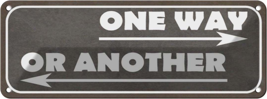 Blechschild 10x27 cm one way or another Dekoration