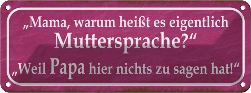 Blechschild 10x27 cm Muttersprache Papa nichts sagen Spruch Zitat