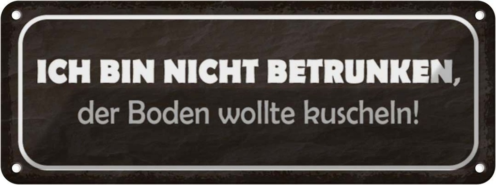 Blechschild 10x27 cm bin nicht betrunken Boden wollte Spruch Zitat