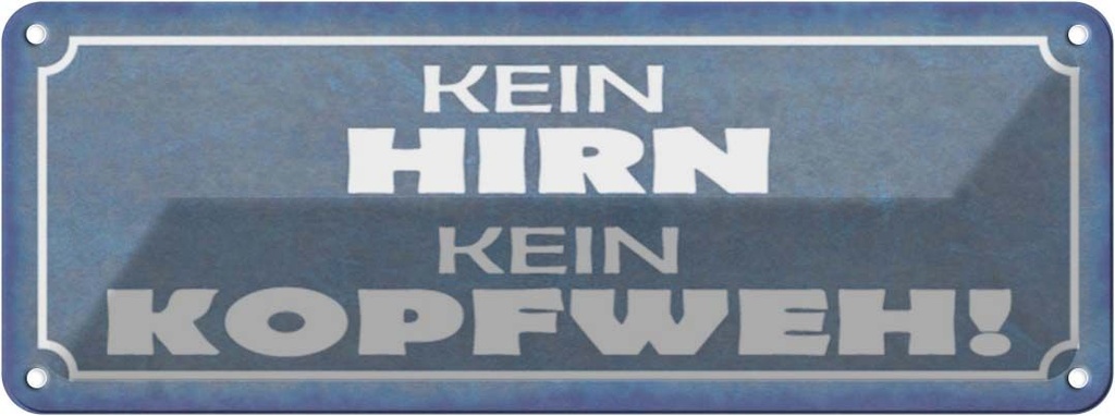 Blechschild 10x27 cm kein Hirn Kopfweh Spruch Zitat