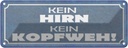 Blechschild 10x27 cm kein Hirn Kopfweh Spruch Zitat