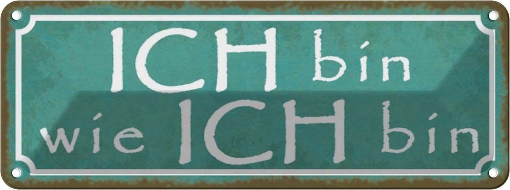 Blechschild 10x27 cm ich bin wie Dekoration Spruch Zitat