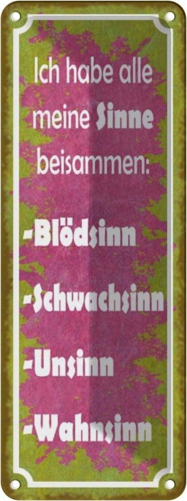 Blechschild 27x10 cm habe alle meine Sinne beisammen Spruch Zitat