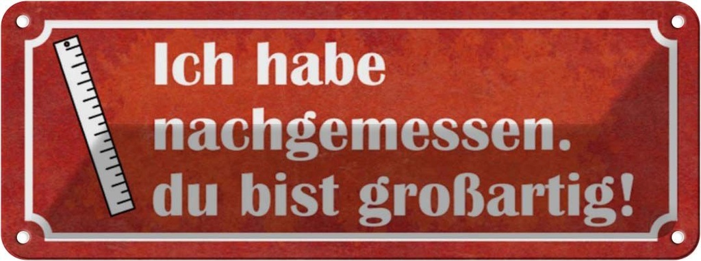 Blechschild 10x27 cm nachgemessen du bist großartig Dekoration Spruch Zitat