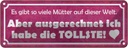 Blechschild 10x27 cm ich habe die tollste Mutter Herz Spruch Zitat