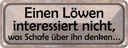 Blechschild 10x27 cm Läwen interessiert Schafe nicht Spruch Zitat