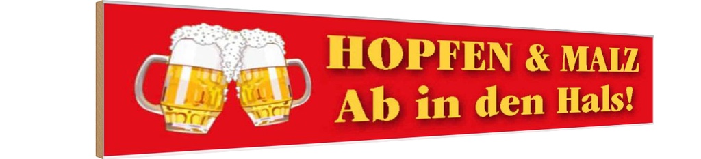 Holzschild 10x46 cm Hopfen Malz ab in den Hals Bier Spruch Zitat