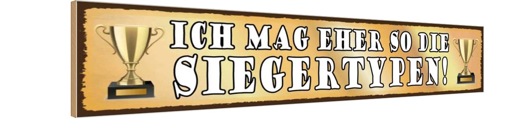Holzschild 10x46 cm ich mag eher so die Siegertypen Spruch Zitat
