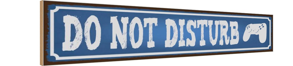 Holzschild 10x46 cm do not disturb nicht stören Dekoration