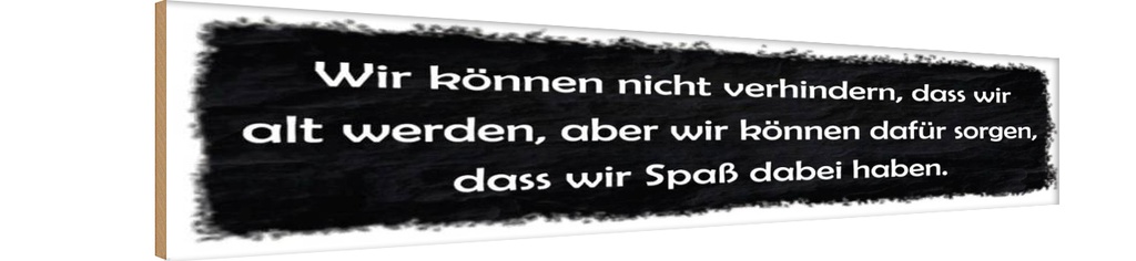 Holzschild 10x46 cm nicht verhindern dass wir alt Spruch Zitat
