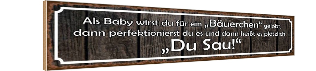 Holzschild 10x46 cm als Baby für Bäuerchen gelobt Dekoration