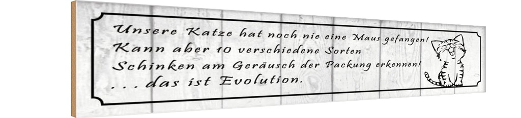 Holzschild 10x46 cm unsere Katze noch Maus gefangen Tier Haustier