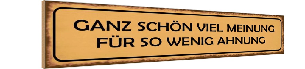 Holzschild 10x46 cm ganz schön viel Meinung für so Dekoration