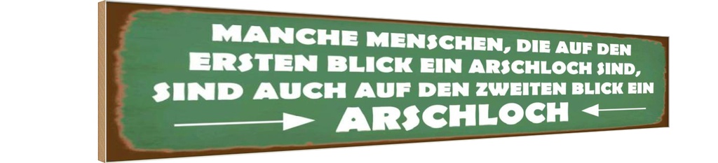 Holzschild 10x46 cm manche Menschen Arschloch Dekoration