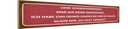 Holzschild 10x46 cm liebe Schwiegermama spar dir Familie Freunde