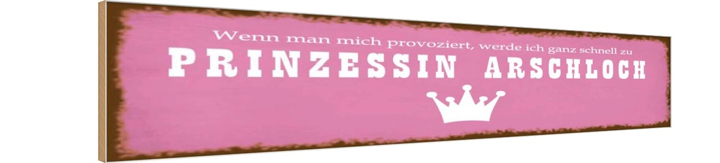 Holzschild 10x46 cm ich zu Prinzessin Arschloch Spruch Zitat