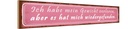 Holzschild 10x46 cm Gewicht hat mich wiedergefunden Spruch Zitat