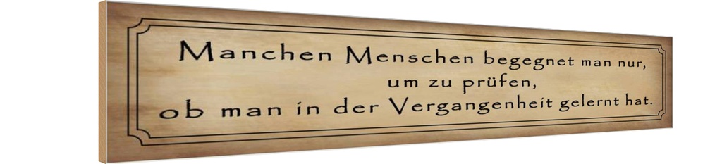 Holzschild 10x46 cm manche Menschen begegnet man nur Spruch Zitat