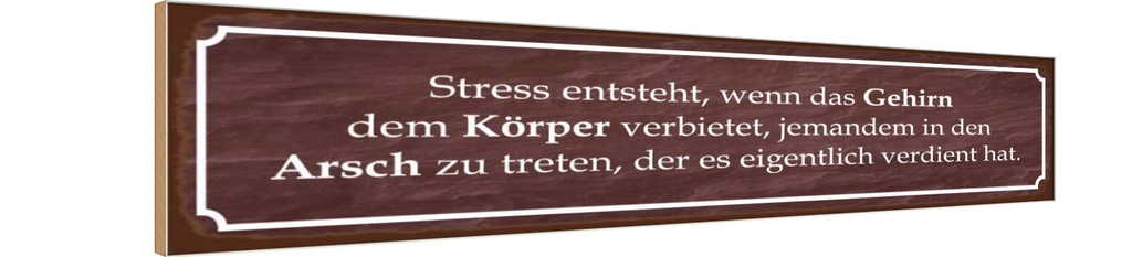 Holzschild 10x46 cm Stress entsteht wenn das Gehirn Spruch Zitat