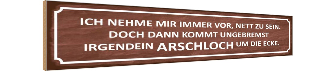 Holzschild 10x46 cm ich immer nett doch Arschloch Spruch Zitat