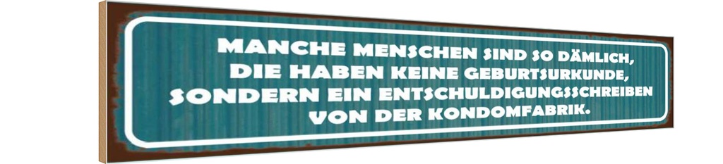 Holzschild 10x46 cm manche Menschen sind so dämlich Spruch Zitat
