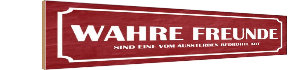 Holzschild 10x46 cm wahre Freunde Spruch Zitat