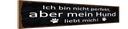 Holzschild 10x46 cm aber mein Hund liebt mich Spruch Zitat