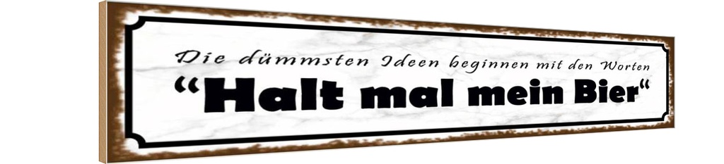 Holzschild 10x46 cm dümmste Ideen halt mein Bier Spruch Zitat