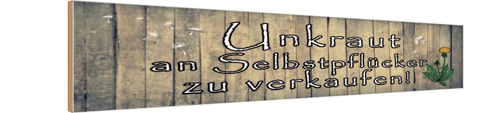 Holzschild 10x46 cm Unkraut an Selbstpflücker Spruch Zitat