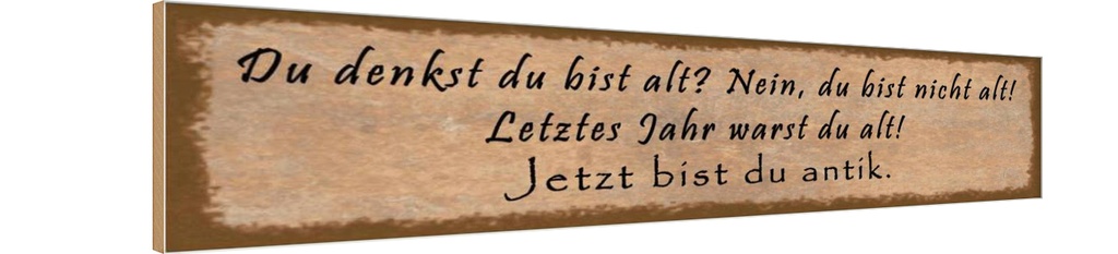 Holzschild 10x46 cm du denkst bist alt nein Spruch Zitat